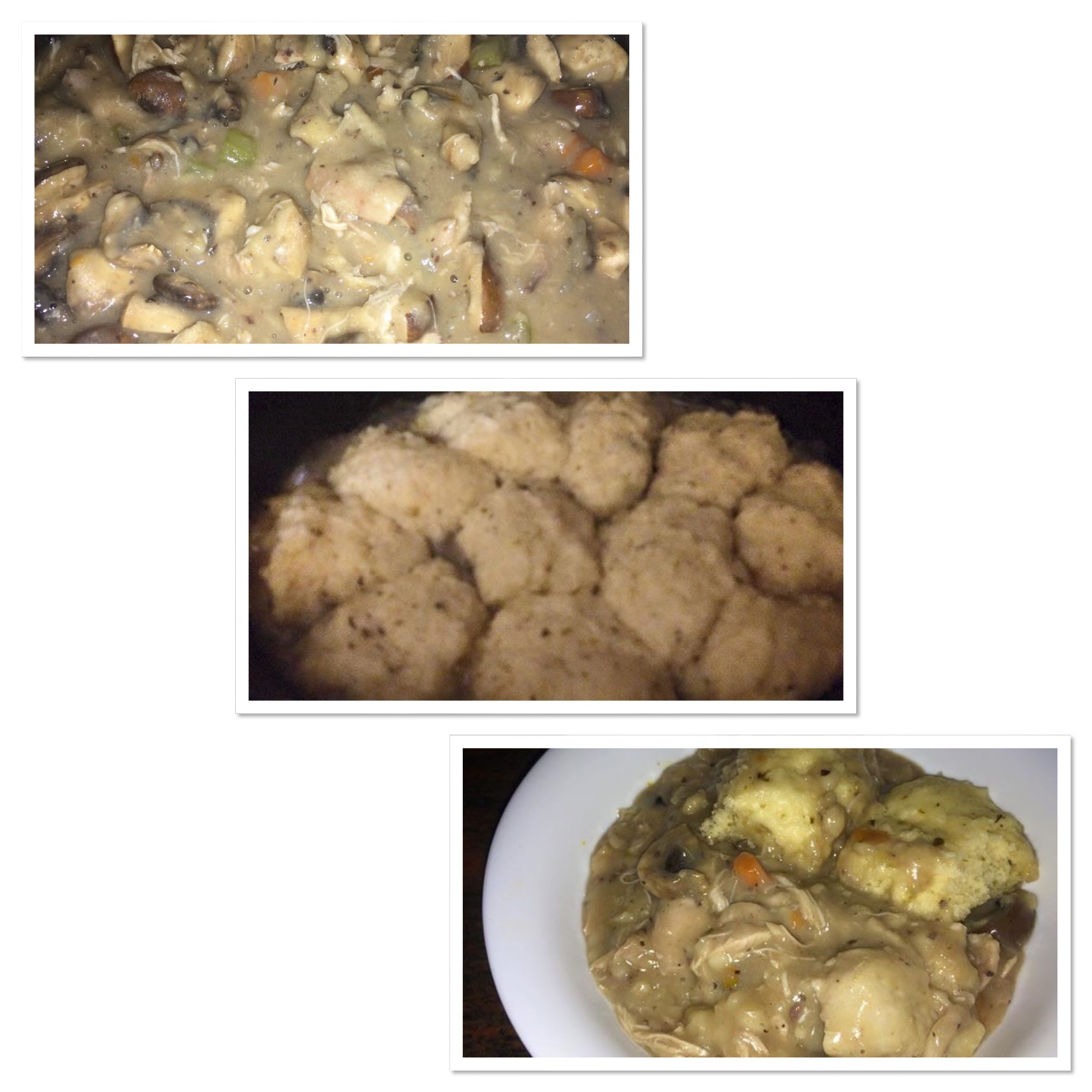 SC Chicken & Mushroom with Oregano Dumplings