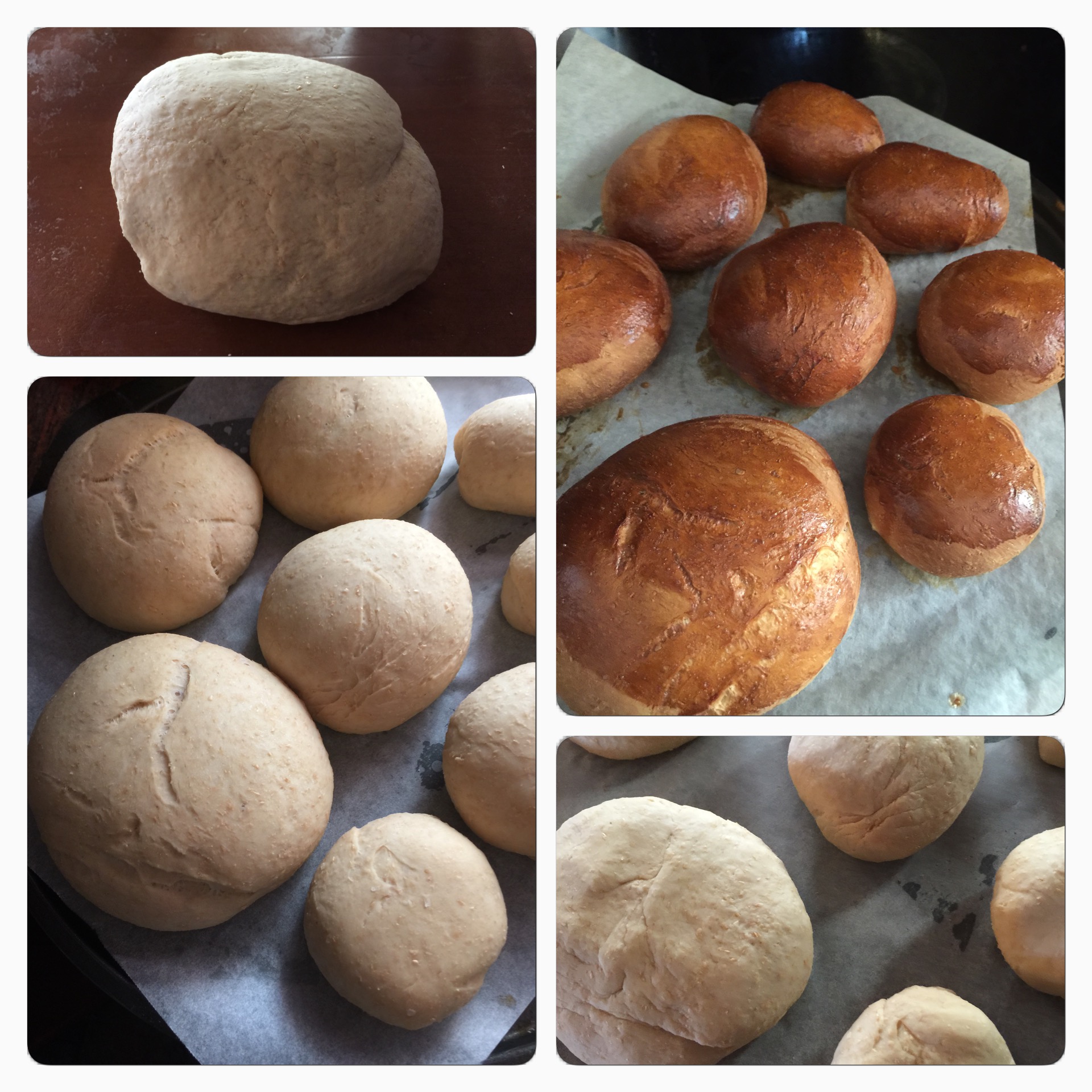 Wholemeal Easy Bake Bread Rolls