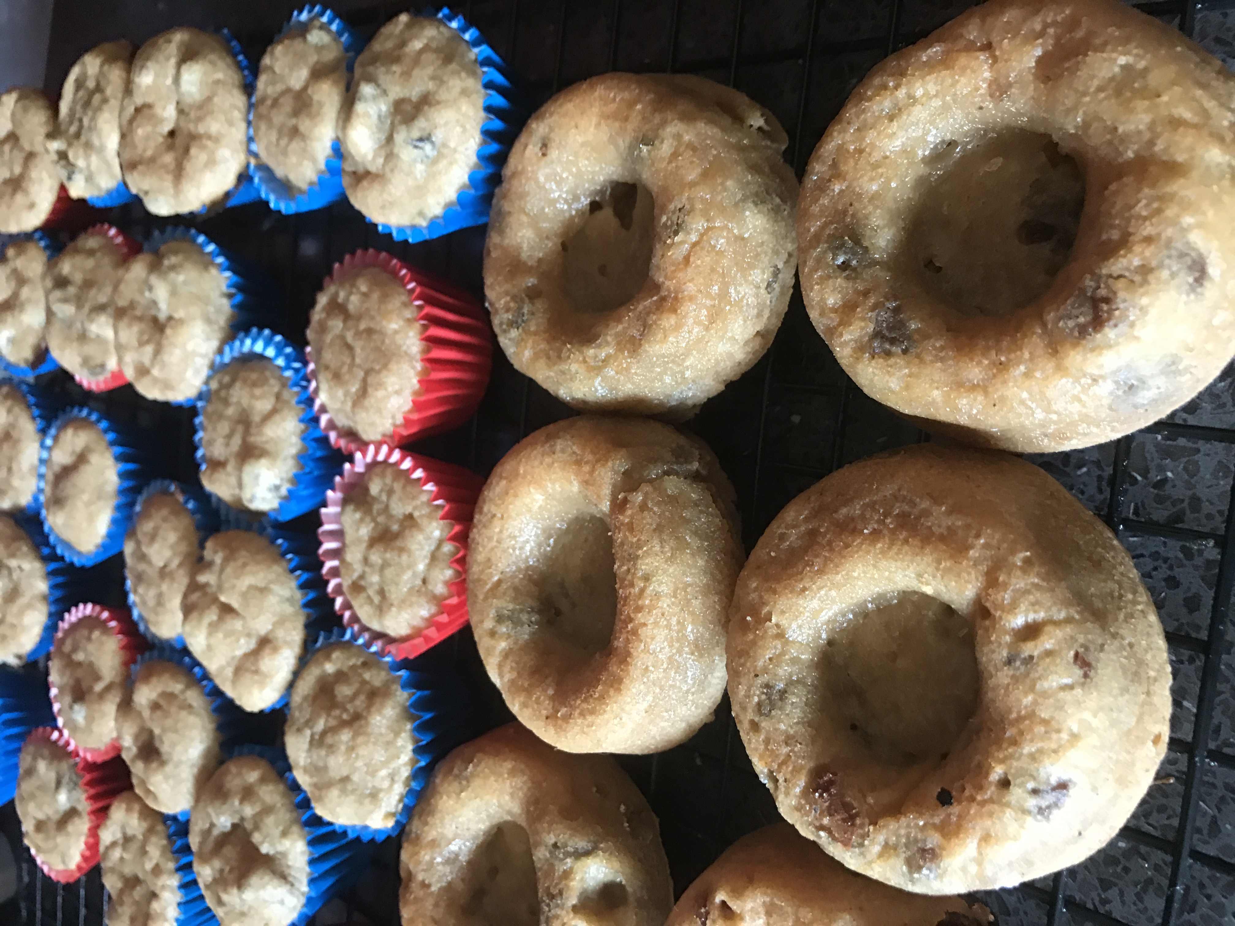 Weetbix Donuts/Muffins