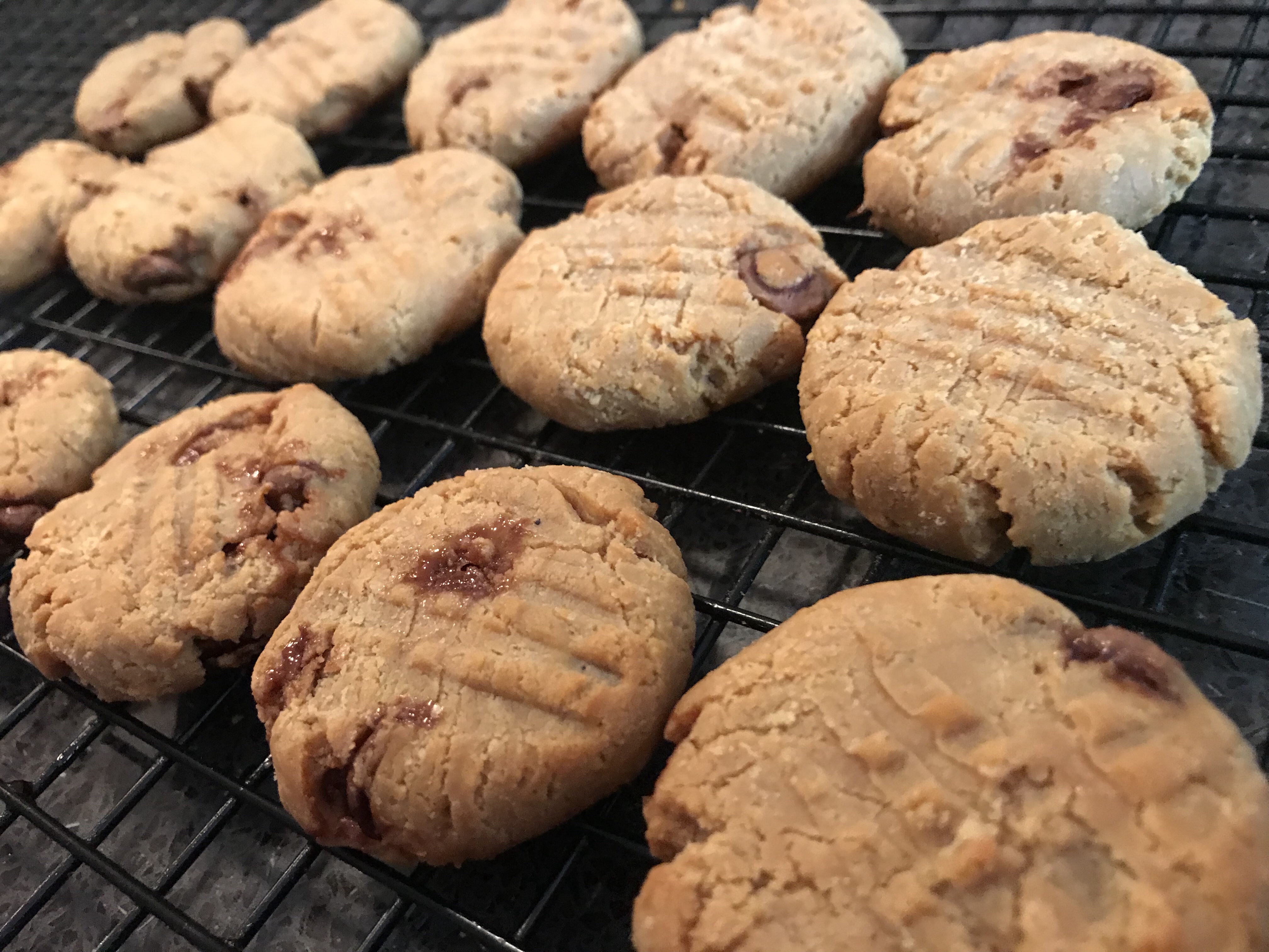 PB Protein Cookies